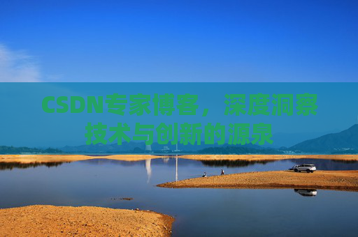 CSDN专家博客，深度洞察技术与创新的源泉